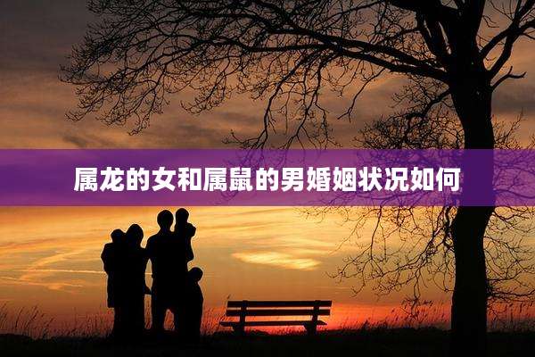 属龙的女和属鼠的男婚姻状况如何