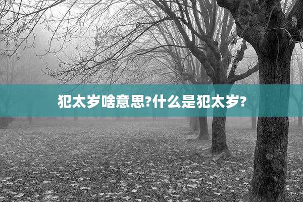 犯太岁啥意思?什么是犯太岁?