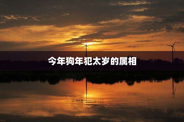 今年狗年犯太岁的属相