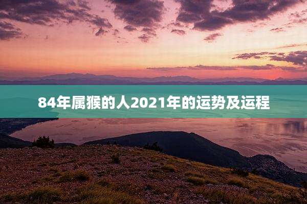 84年属猴的人2021年的运势及运程