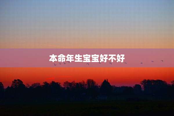 本命年生宝宝好不好