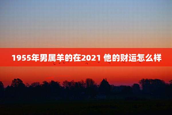 1955年男属羊的在2021 他的财运怎么样