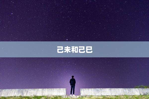 己未和己巳