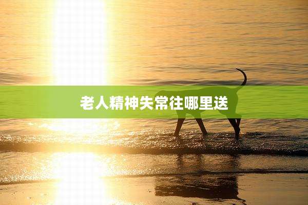 老人精神失常往哪里送