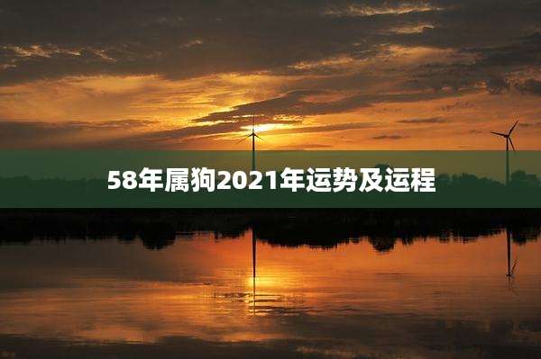 58年属狗2021年运势及运程