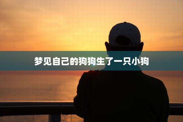 梦见自己的狗狗生了一只小狗