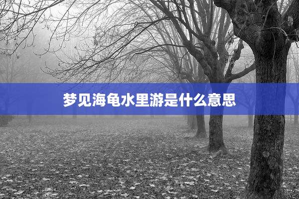 梦见海龟水里游是什么意思