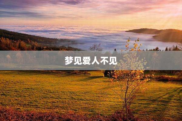 梦见爱人不见