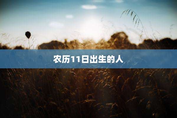 农历11日出生的人