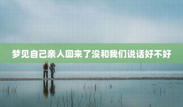 梦见自己亲人回来了没和我们说话好不好