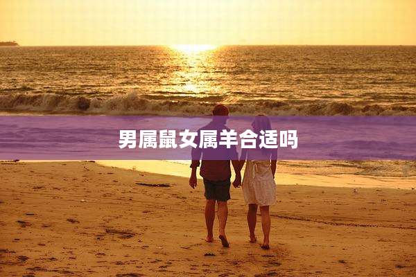 男属鼠女属羊合适吗
