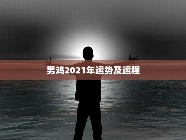男鸡2021年运势及运程
