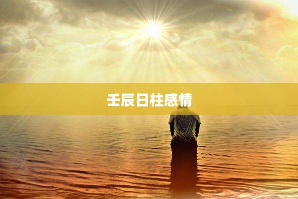 壬辰日柱感情