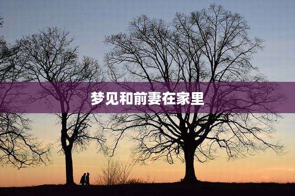梦见和前妻在家里
