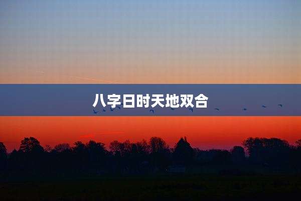 八字日时天地双合