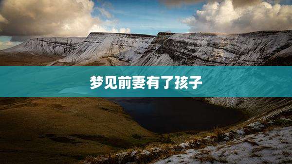梦见前妻有了孩子