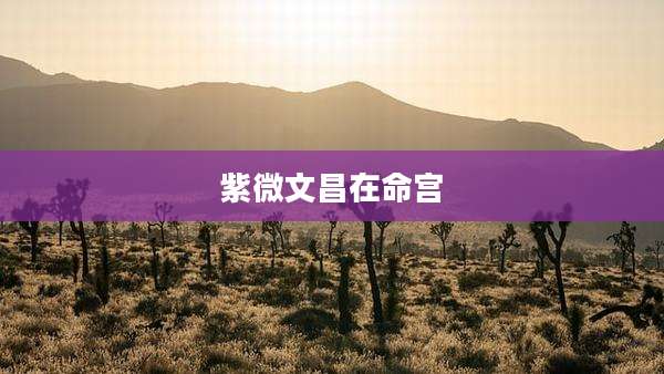 紫微文昌在命宫
