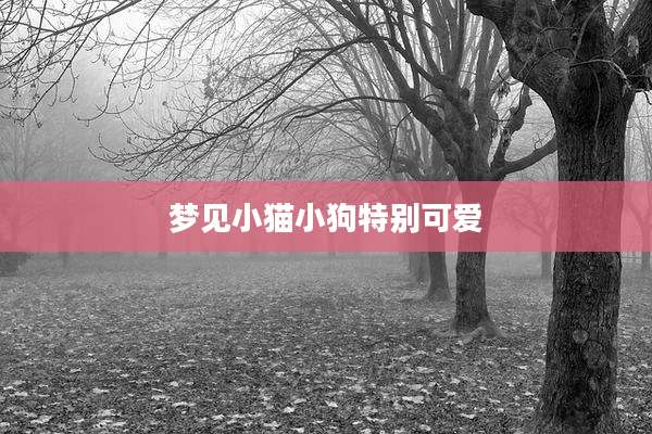 梦见小猫小狗特别可爱