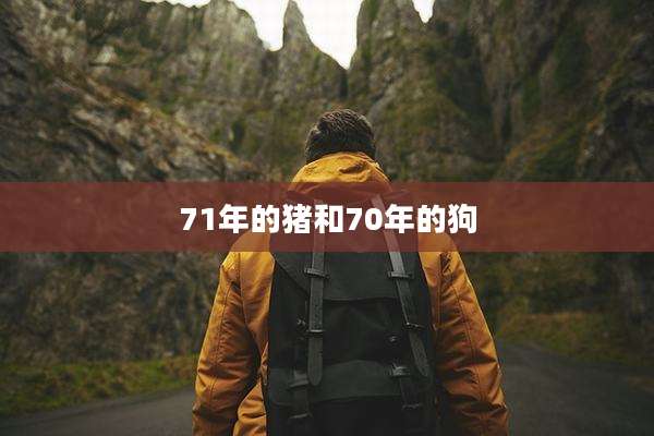 71年的猪和70年的狗