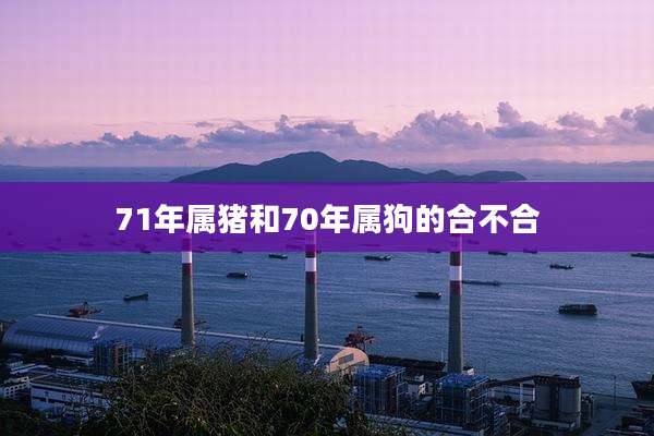 71年属猪和70年属狗的合不合