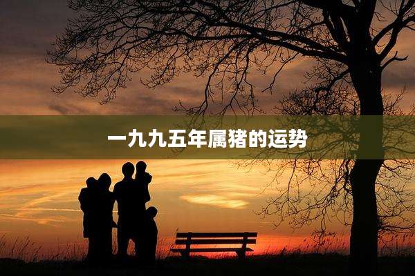 一九九五年属猪的运势