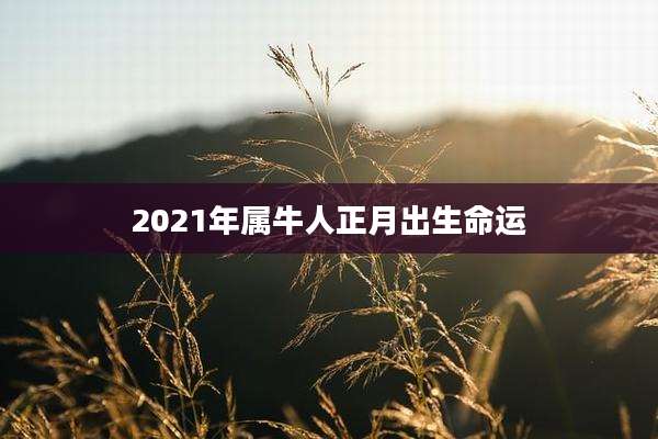 2021年属牛人正月出生命运