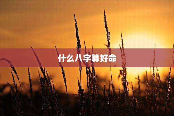 什么八字算好命