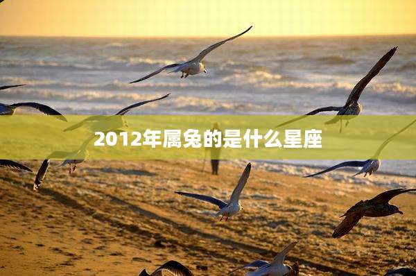 2012年属兔的是什么星座