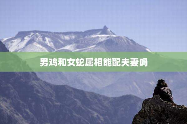 男鸡和女蛇属相能配夫妻吗
