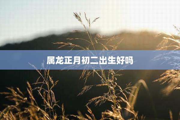 属龙正月初二出生好吗