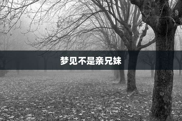 梦见不是亲兄妹