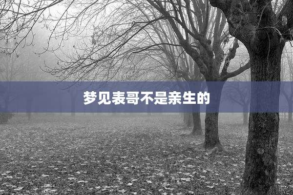 梦见表哥不是亲生的