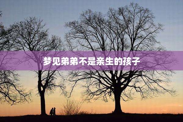 梦见弟弟不是亲生的孩子