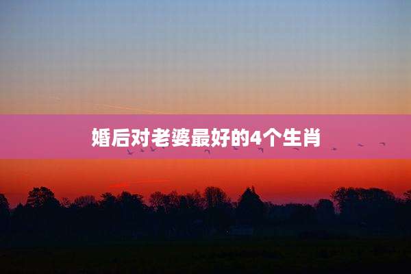 婚后对老婆最好的4个生肖