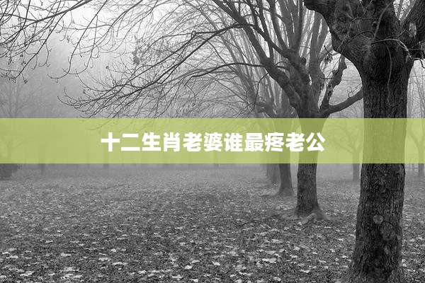 十二生肖老婆谁最疼老公
