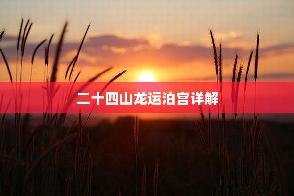 二十四山龙运泊宫详解