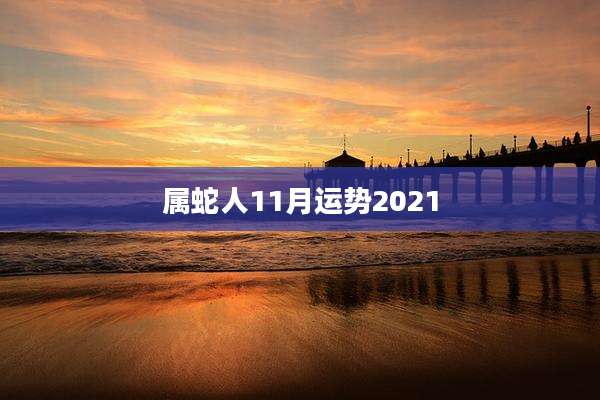 属蛇人11月运势2021