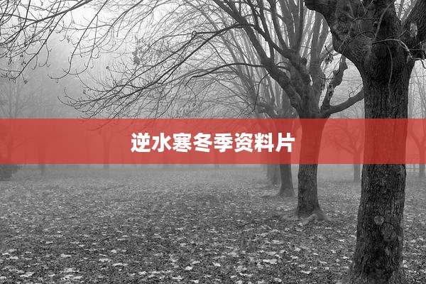 逆水寒冬季资料片