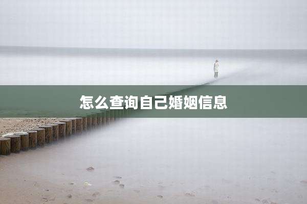 怎么查询自己婚姻信息