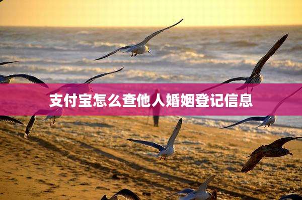 支付宝怎么查他人婚姻登记信息