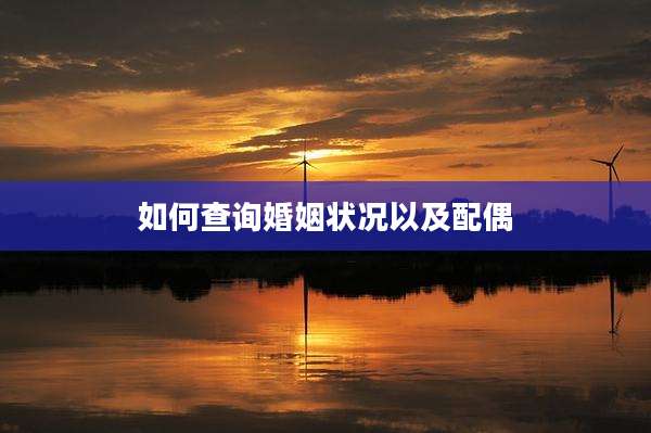 如何查询婚姻状况以及配偶