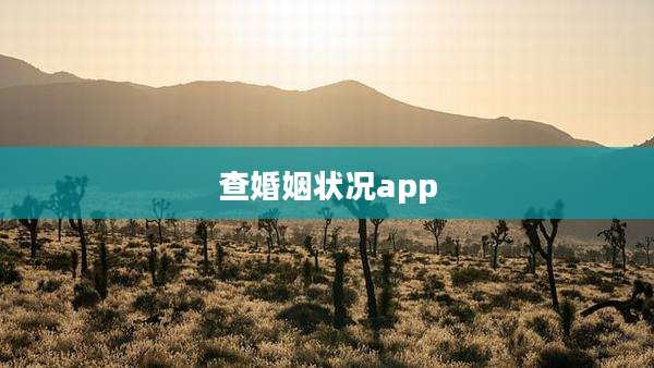 查婚姻状况app