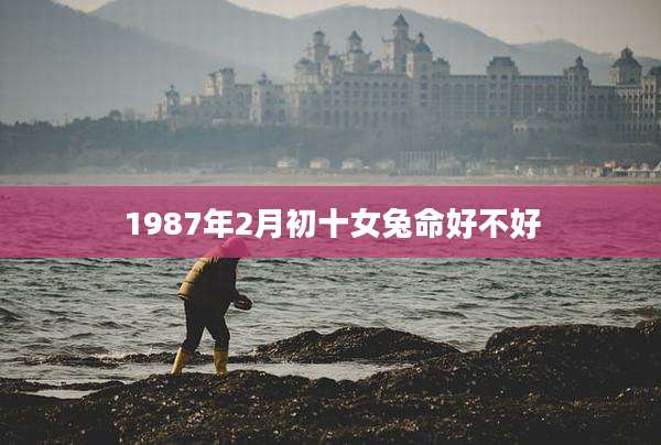 1987年2月初十女兔命好不好