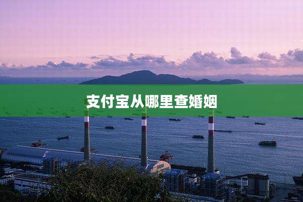 支付宝从哪里查婚姻