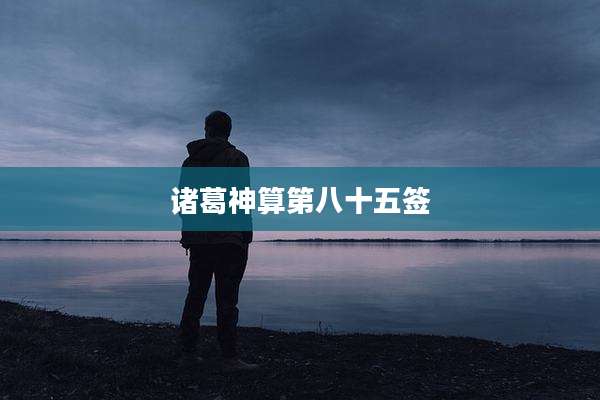 诸葛神算第八十五签