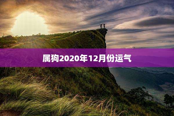 属狗2020年12月份运气