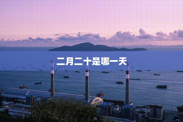 二月二十是哪一天