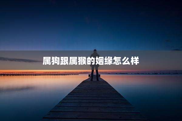属狗跟属猴的姻缘怎么样