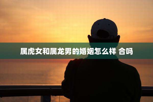 属虎女和属龙男的婚姻怎么样 合吗