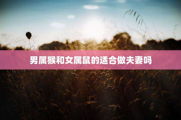 男属猴和女属鼠的适合做夫妻吗